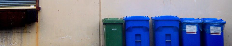 A line of wheeled waste and recycling bins standing against a plain exterior wall.